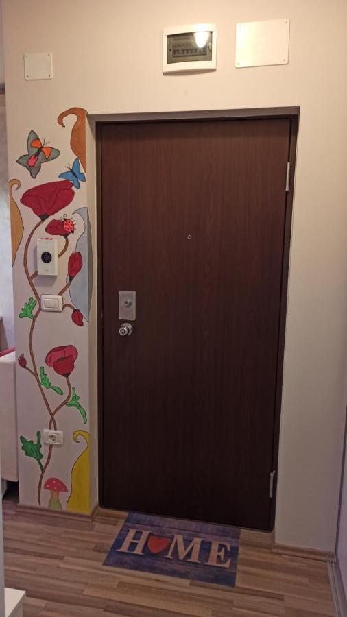 Cozy Home Bujorilor Timisoara Exterior photo